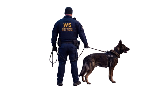 K9 handler with security dog